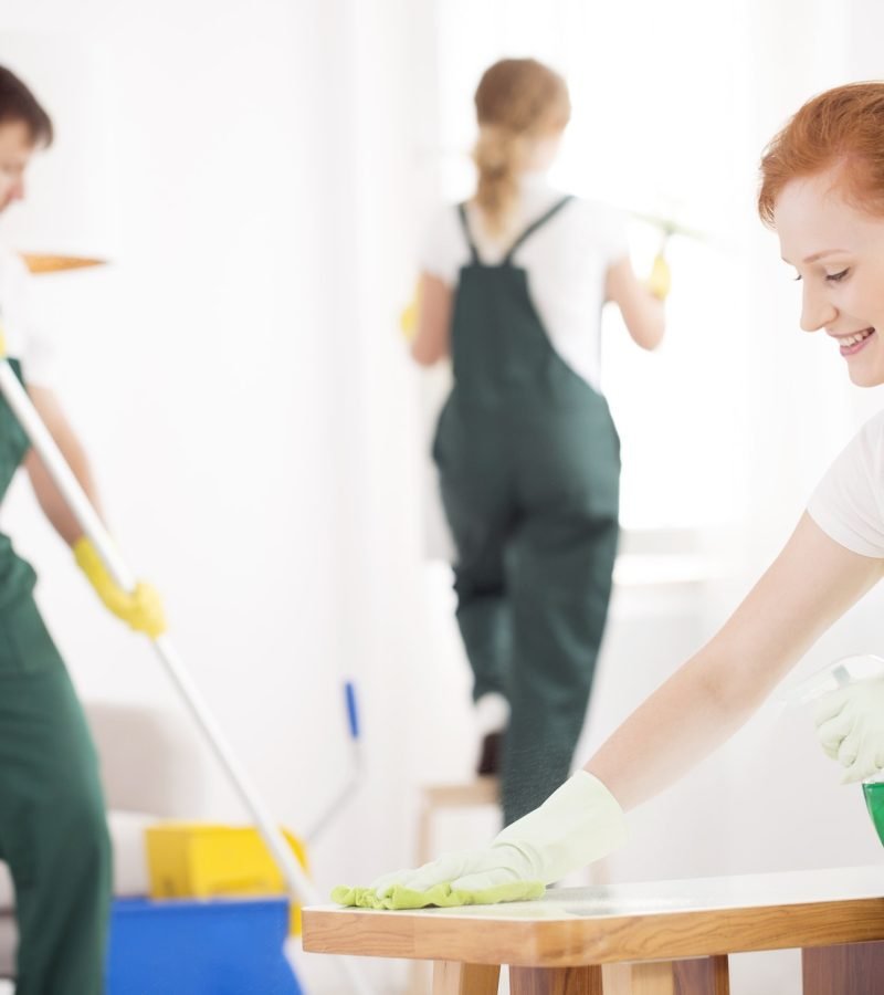 cleaning-service-during-work-1.jpg