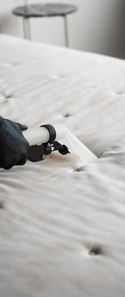Cleaning with extractor to remove stains from sofa. Cleaning couch with extractor machine to maintain tidiness in the household. Cleaner is using extractor to clean the mattress in the bedroom